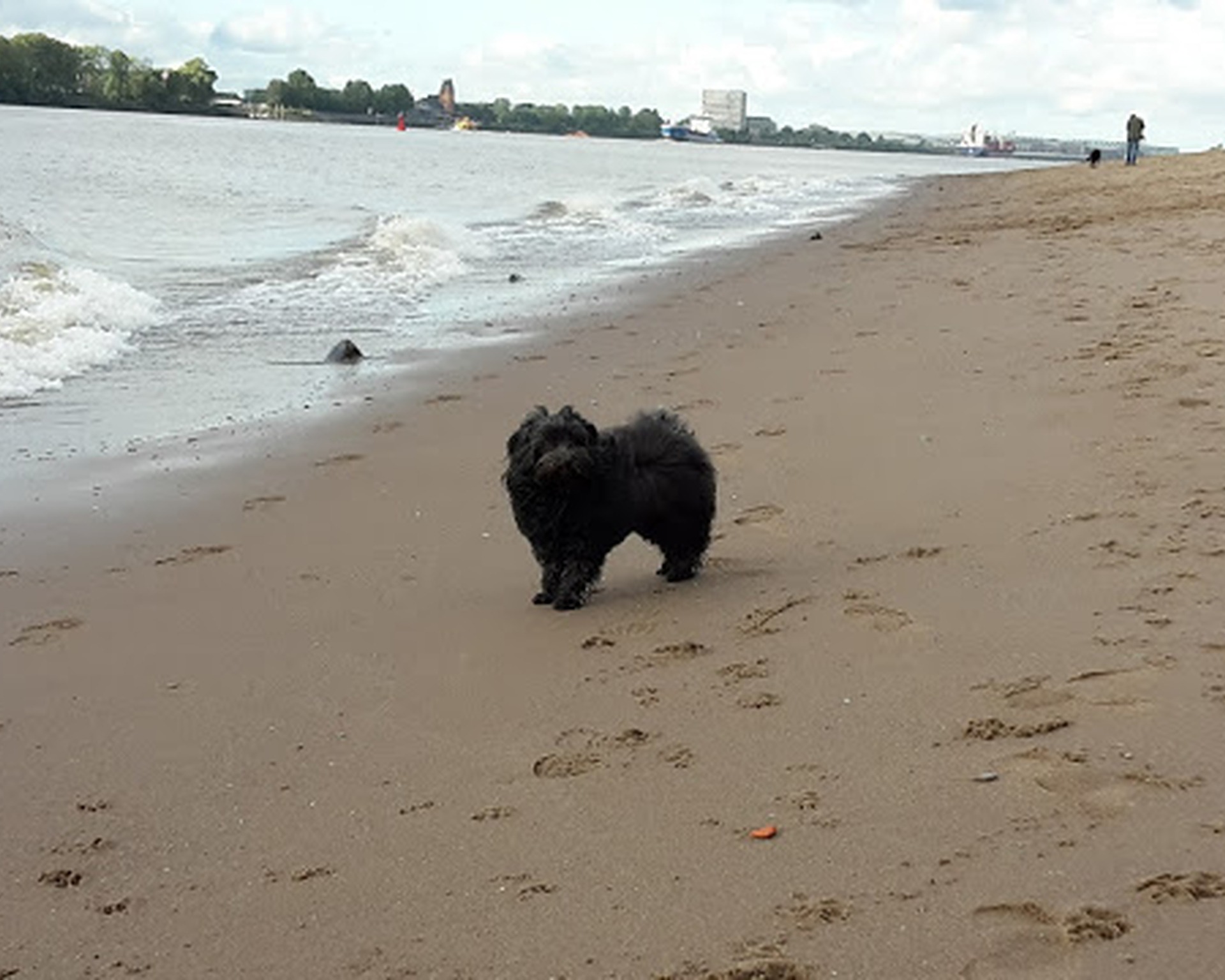 Schöner Spaziergang am Elbstrand in Hamburg Elbstrand, Hamburg